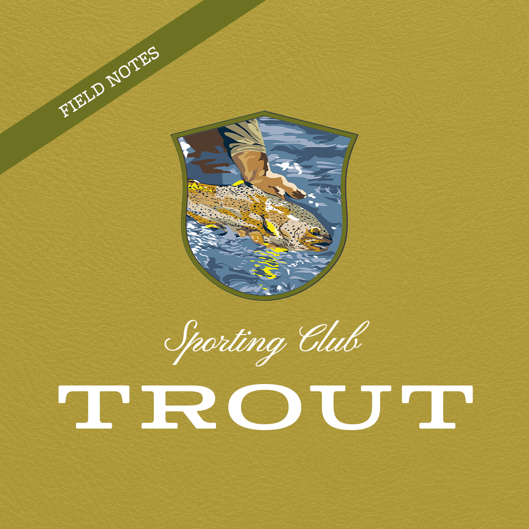 Field Notes: Trout