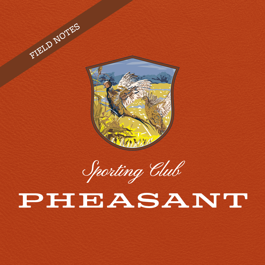 Field Notes: Pheasant
