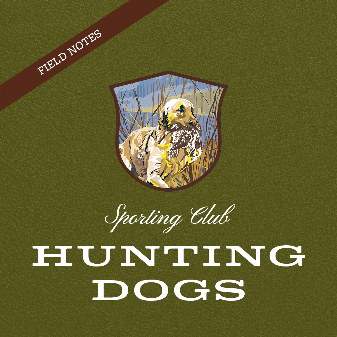 Field Notes: Hunting Dogs