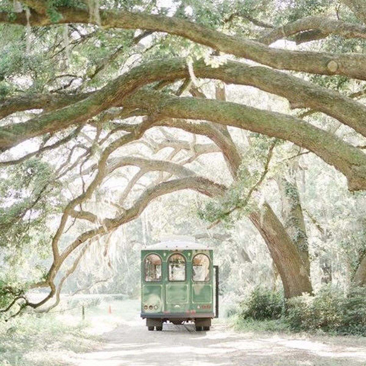 Destination: Charleston