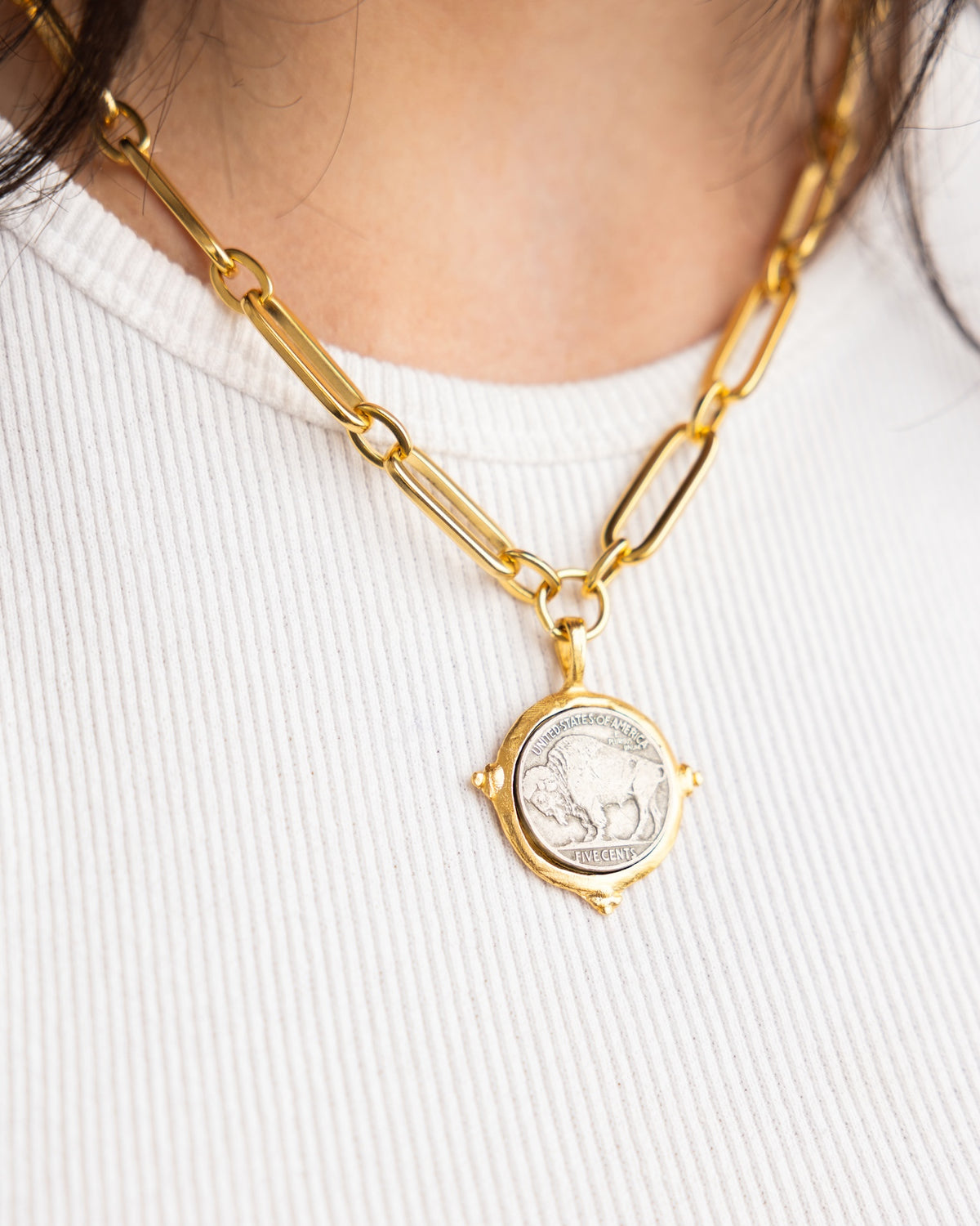 Buffalo Nickel Mixed Link Necklace
