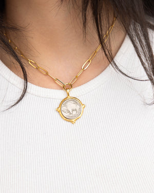 Buffalo Nickel Paperclip Necklace