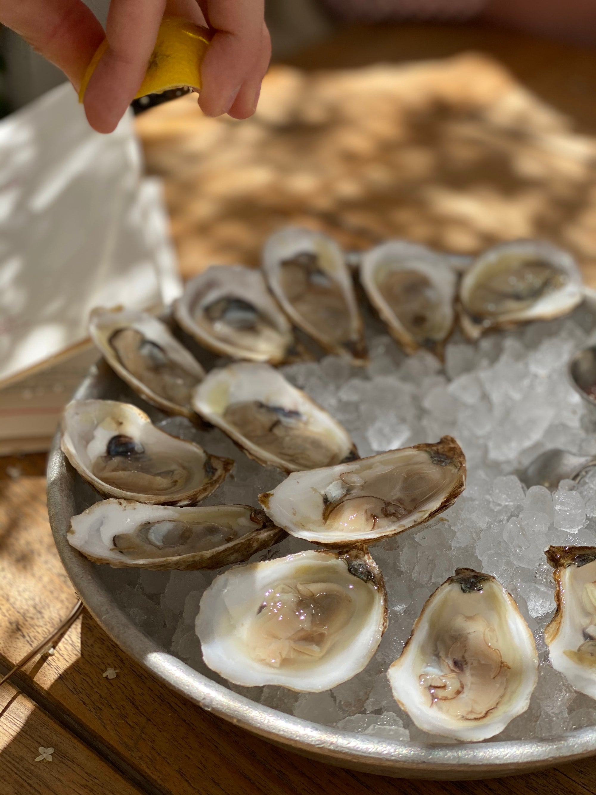 best fresh oysters charleston