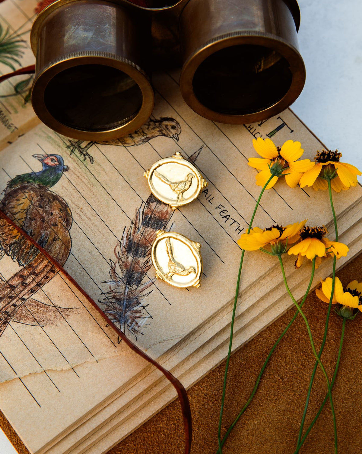 Pheasant Stud